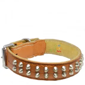 Genuine Leather Studded Collar Double Row Orange